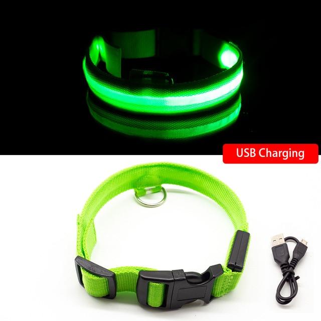 USB Charging Anti-Lost Collar