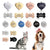 Pet Engraving Personalized ID Tag