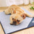 Pet Summer Cooling Mat