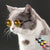 Pet Photos Props Sunglasses